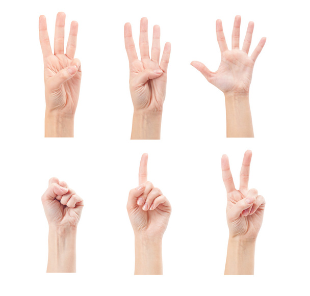 Frauenhände zählen - Foto, Bild