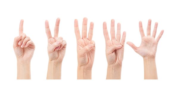 počítání žena ruce - Fotografie, Obrázek