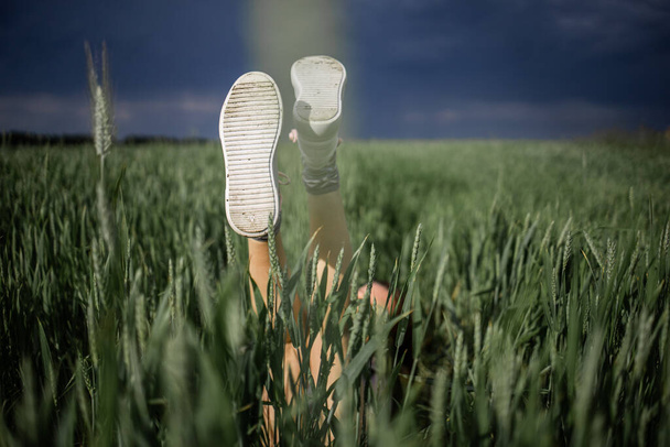 Kobiece stopy w białych trampkach na zielonym polu pszenicy. - Zdjęcie, obraz
