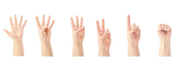 Menschenhände zählen - Foto, Bild