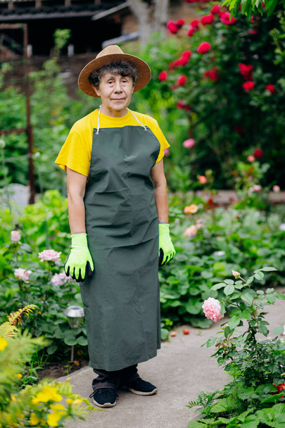 Portrait of a Senior woman gardener in a hat working in her yard. The concept of gardening, growing and caring for flowers and plants. - Φωτογραφία, εικόνα