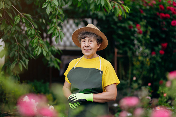 Πορτραίτο μιας ηλικιωμένης κηπουρού με καπέλο που δουλεύει στην αυλή της. Η έννοια της κηπουρικής, της καλλιέργειας και της φροντίδας λουλουδιών και φυτών. - Φωτογραφία, εικόνα