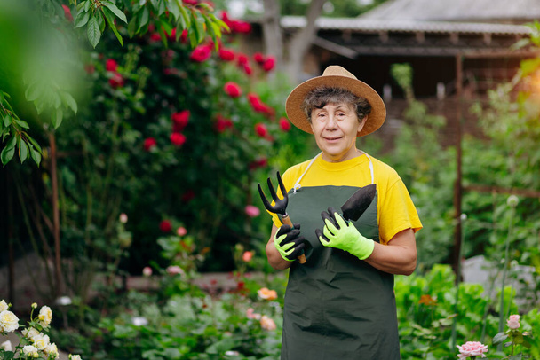 Mujer jardinera mayor en un sombrero trabajando en su patio con herramientas de trabajo. El concepto de jardinería, cultivo y cuidado de flores y plantas. - Foto, imagen