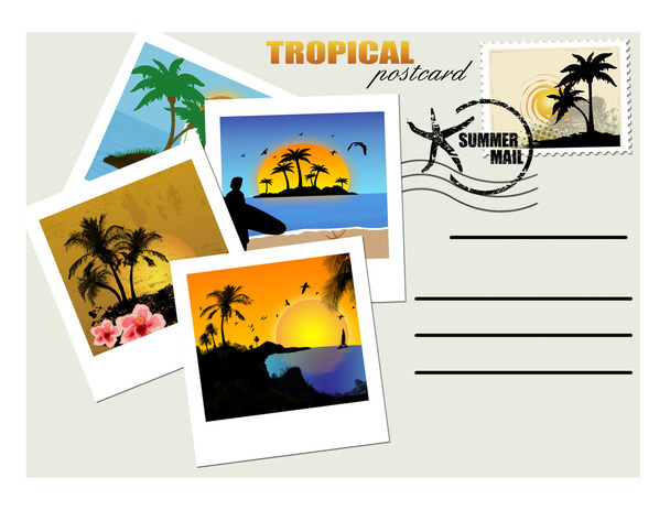 Тропическая открытка
 - Вектор,изображение