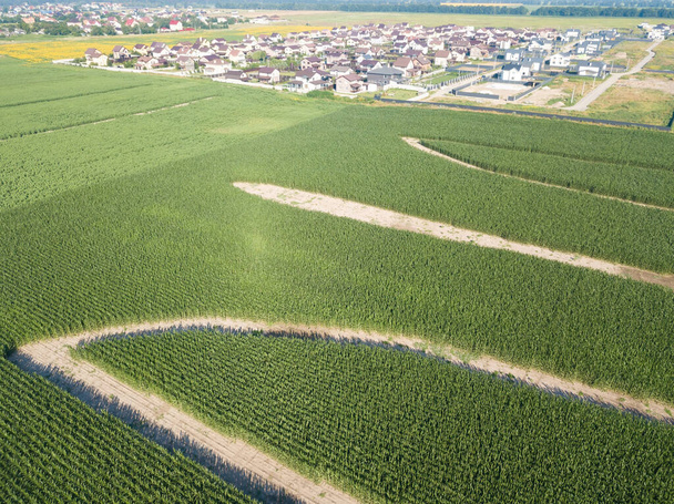 Tridente - stemma di Ucraina su un campo di grano. Iscrizione Amo l'Ucraina. Vista aerea drone. - Foto, immagini