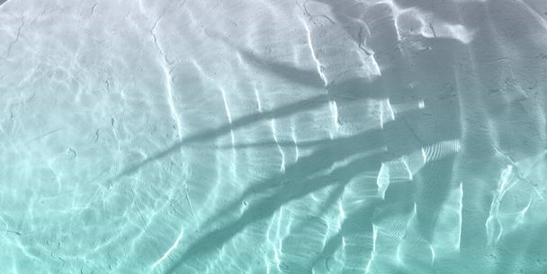 Desfocado transparente superfície de água calma transparente com respingo, bolhas e sombra de uma planta. Fundo de natureza abstrata na moda com espaço de cópia. - Foto, Imagem