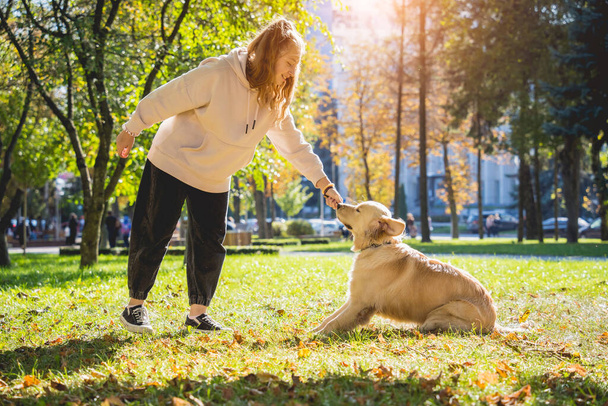 The owner plays the golden retriever dog in the park. - Fotoğraf, Görsel
