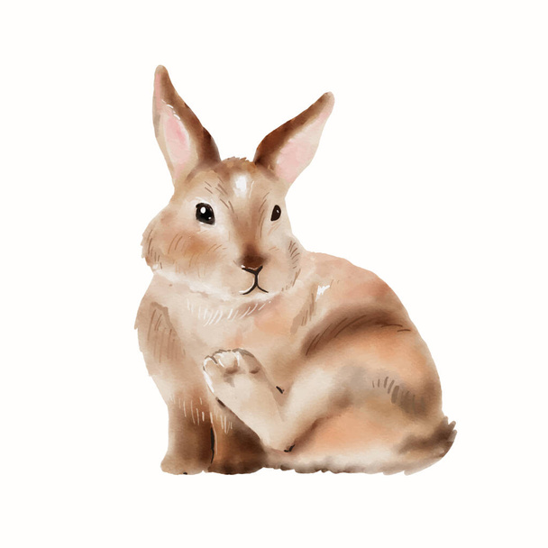 Paskalya Tavşanı Suluboya Çizimi beyaz arka planda izole edilmiş. Sevimli tavşan eli çizim vektörü. - Vektör, Görsel