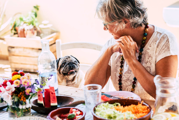 Concepto de estilo de vida de personas y animales, Senior anciana mira con amor a su divertido perro pug sentado en la mesa llena de comida. Mejor amigo juntos humanos y perros. Amistad con mascota madura dama en casa - Foto, Imagen