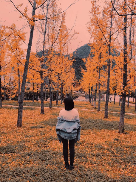 young woman walking in autumn park - Photo, Image