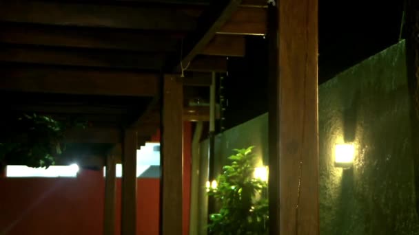 シナ observando chuva na varanda - 映像、動画