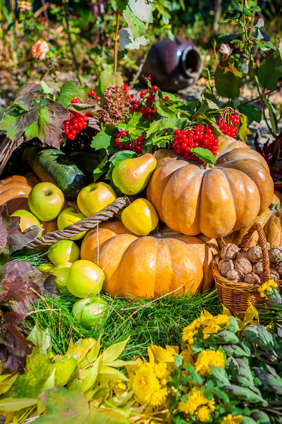 Autumn Harvest - Foto, Bild