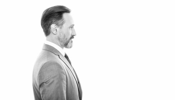 male formal fashion. bearded ceo. confident boss with graying hair. copy space. - 写真・画像