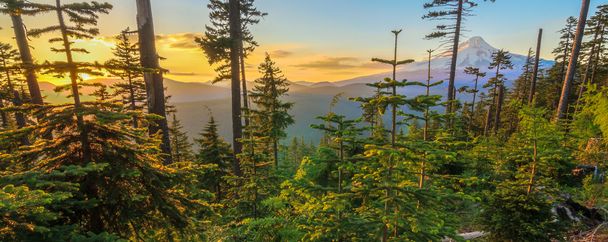 Belle vue du mont Hood en Oregon, États-Unis
. - Photo, image
