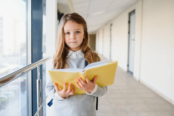 Front view of pretty blonde school girl holding many colorful notes and books. Clever teen girl smiling at camera, standing on corridor of international school. - Foto, imagen