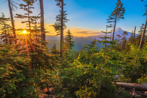 Bela Vista do Monte Hood em Oregon, EUA
. - Foto, Imagem