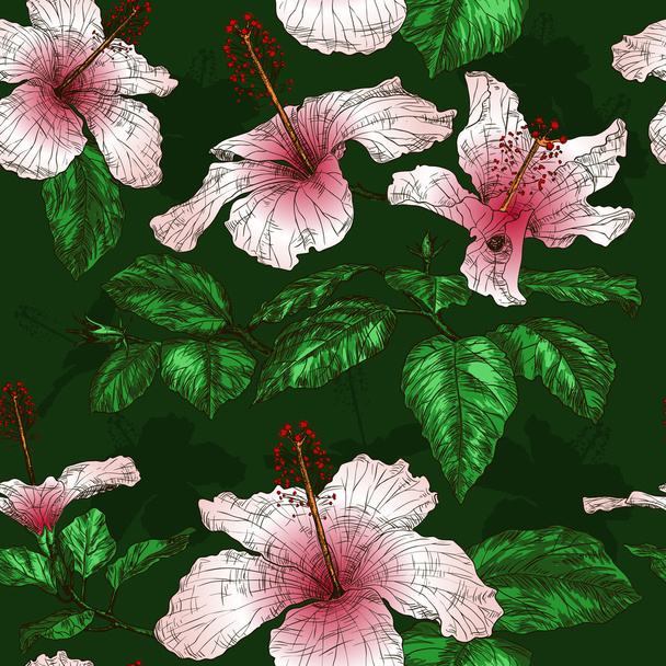 Pattern with Hibiscus flowers - Διάνυσμα, εικόνα