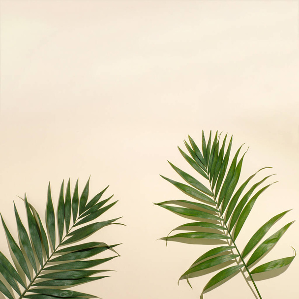 Palm leaves lie on the ground. Copy space, top view, sand color... - Foto, imagen