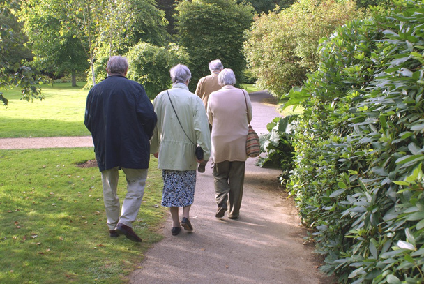 Couples âgés se promenant le long d'un sentier ensoleillé dans un parc
 - Photo, image