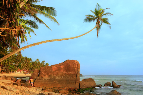 Leaning palm tree with big rocks, Unawatuna beach, Sri Lanka - Φωτογραφία, εικόνα