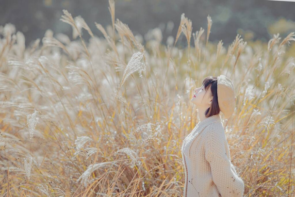 beautiful young woman in a wheat field - Fotó, kép