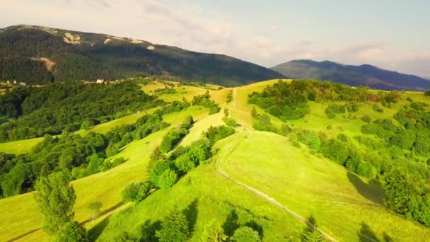 Aerial view of the endless lush pastures of the Carpathian expanses and agricultural land. Cultivated agricultural field. Rural mountain landscape at sunset. Ukraine. - Footage, Video