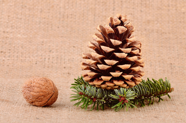 Pine cone on sackcloth background - Photo, Image