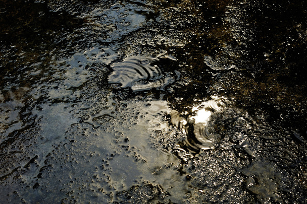 Yağmurlu su - Fotoğraf, Görsel