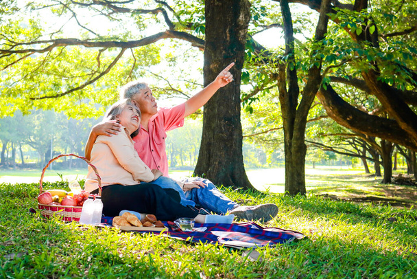 Ασιάτες ηλικιωμένοι ζευγάρι πικ-νικ στο πάρκο Κάθισαν στο γρασίδι και είχαν καλάθια με φρούτα και ψωμί που βρίσκονται δίπλα τους. Απολαμβάνουν τις διακοπές τους. Η έννοια του να ζεις στη σύνταξη για να είσαι ευτυχισμένος. - Φωτογραφία, εικόνα