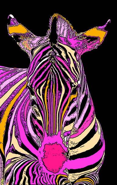 Zebras σημάδι εικονογράφηση pop-art εικονίδιο φόντου με κηλίδες χρώματος - Φωτογραφία, εικόνα