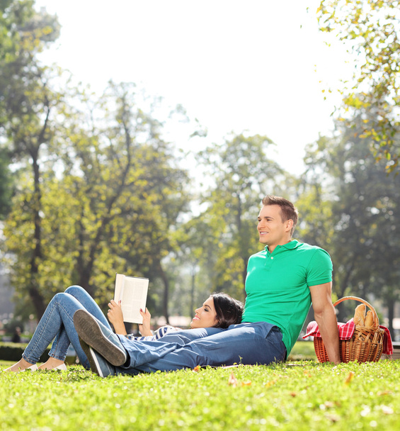 Couple having picnic in park - Photo, Image