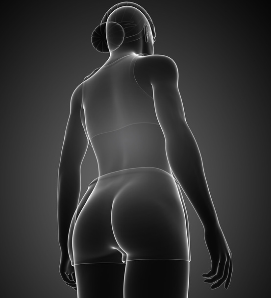 Female body artwork - Foto, imagen