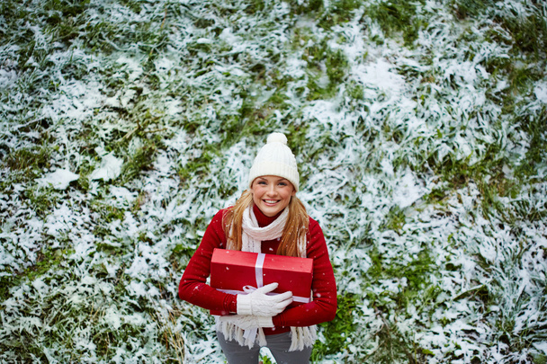Tyttö talvella kulumista seisoo ruohoa
 - Valokuva, kuva