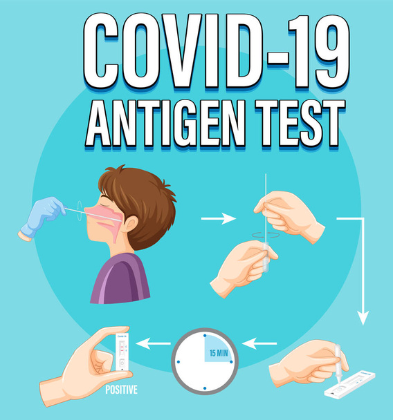 Covid 19 testauskaavio antigeenitestipakkauksen kuvituksella - Vektori, kuva