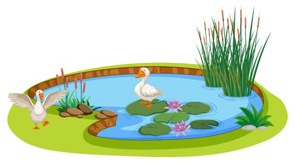 Patos en un estanque en ilustración de estilo de dibujos animados - Vector, Imagen
