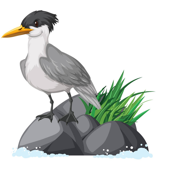 Κρεμαστό tern στέκεται στην απεικόνιση βράχου - Διάνυσμα, εικόνα