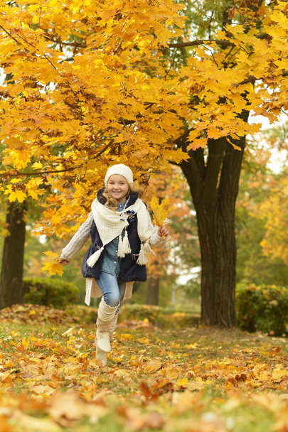 Girl in autumn park - Фото, зображення