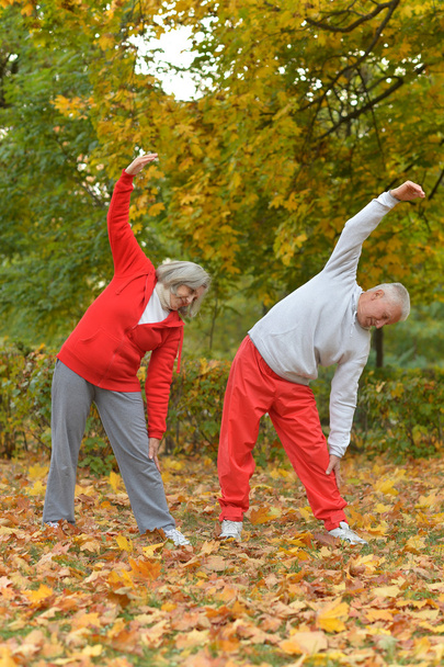Couple exercising in park - Foto, Bild