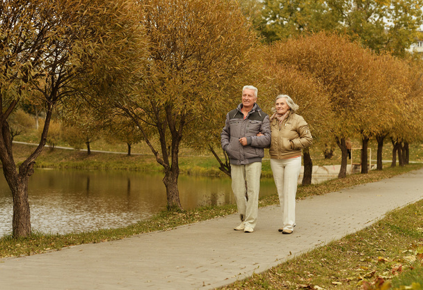 Mature couple walking in autumn park - Фото, зображення