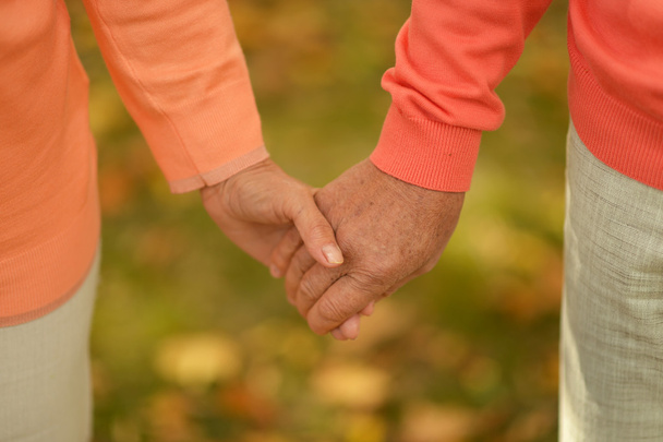 Hands held together - Foto, Imagem