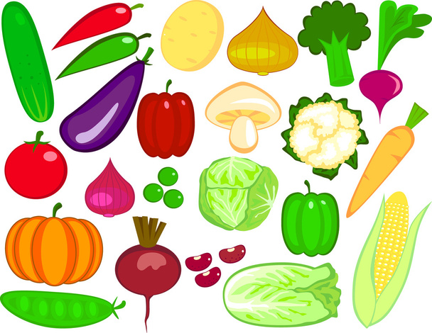 Vegetable illustration - Διάνυσμα, εικόνα