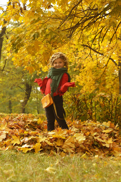 Girl in autumn park - Foto, imagen