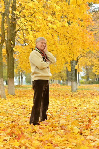 Senior man in autumn park - Foto, imagen