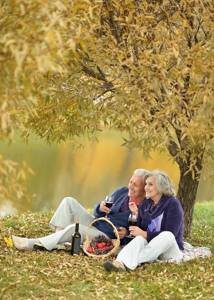 Onnellinen kypsä pari ottaa piknik
 - Valokuva, kuva