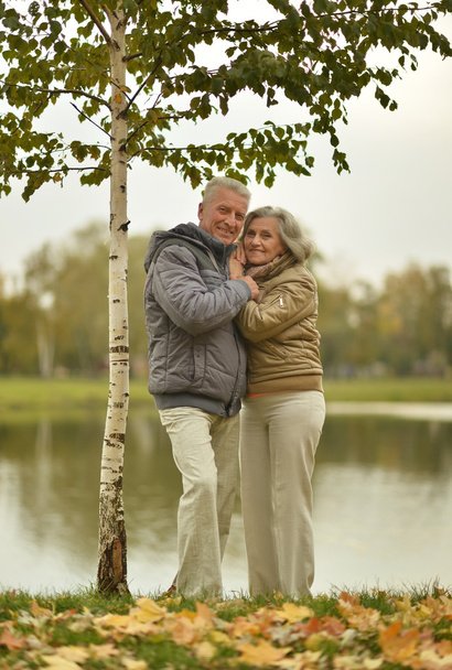 Mature couple walking in autumn park - Foto, Imagem
