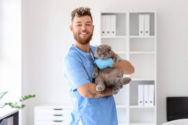 Male veterinarian with Scottish fold cat in clinic - Фото, зображення