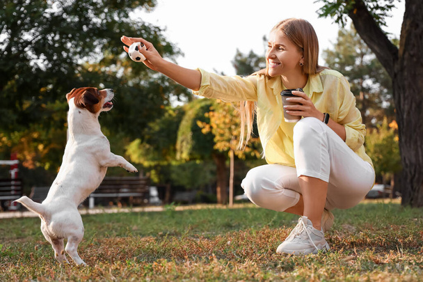 Young woman playing with cute Jack Russel terrier in park - Foto, Imagen
