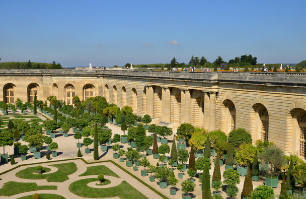 Palacio de Versalles en Ile de France
 - Foto, Imagen