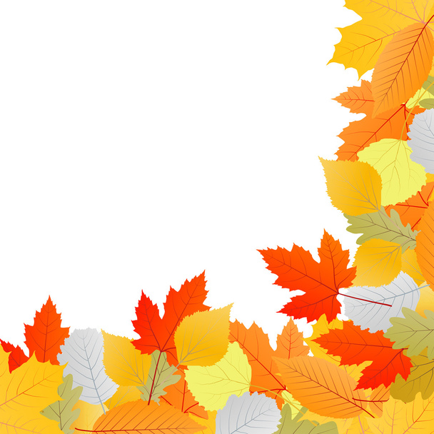 Autumn leaves background vector - Vektor, Bild