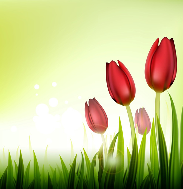 Background with tulips - Vector, Image